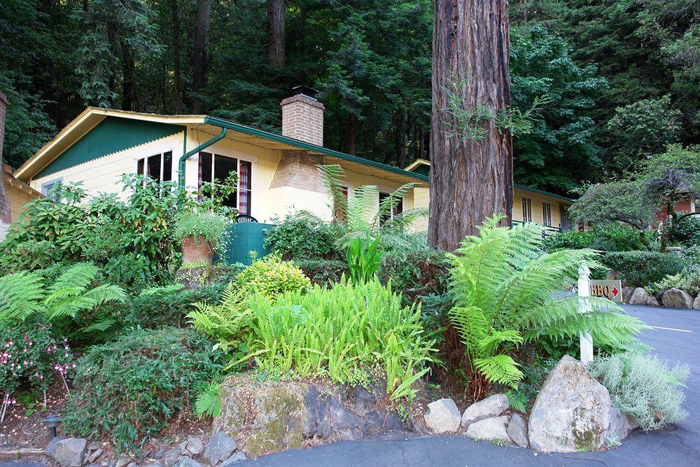 Fern Grove Cottages Guerneville Exteriör bild