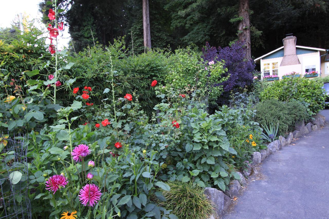 Fern Grove Cottages Guerneville Exteriör bild