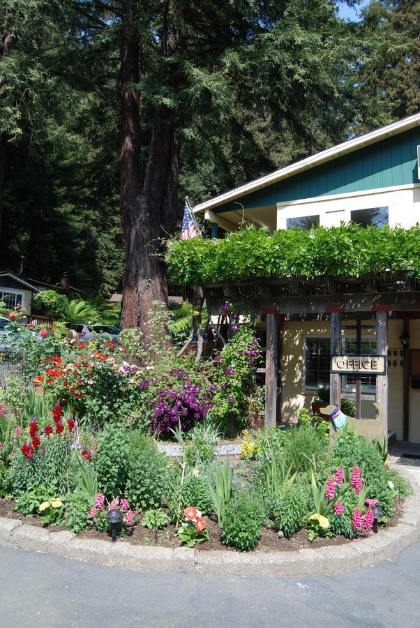 Fern Grove Cottages Guerneville Exteriör bild