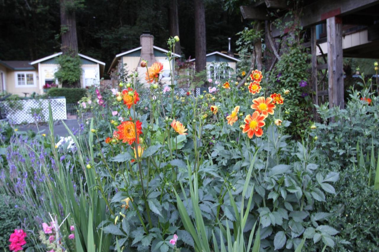 Fern Grove Cottages Guerneville Exteriör bild